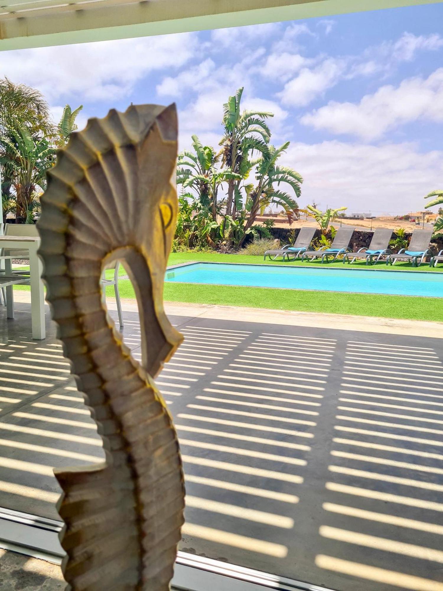הוילה לאחארס Turquesa 1 Fuerteventura מראה חיצוני תמונה